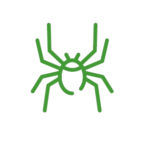 Control de arañas, pulgas y moscas en Santiago y RM